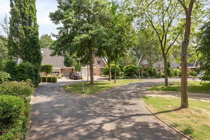 Foto 45 van Burgemeester Lepelaarssingel 70