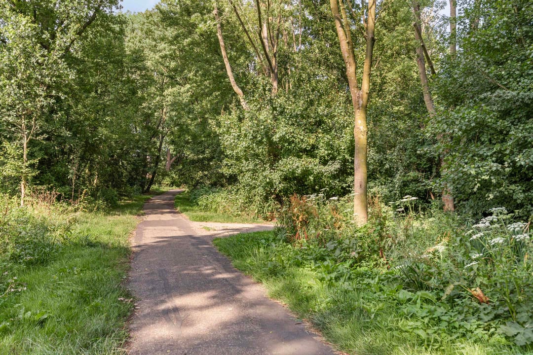 Foto 47 van Burgemeester Lepelaarssingel 70