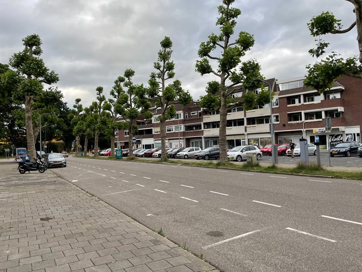 Foto 24 van Dries 32