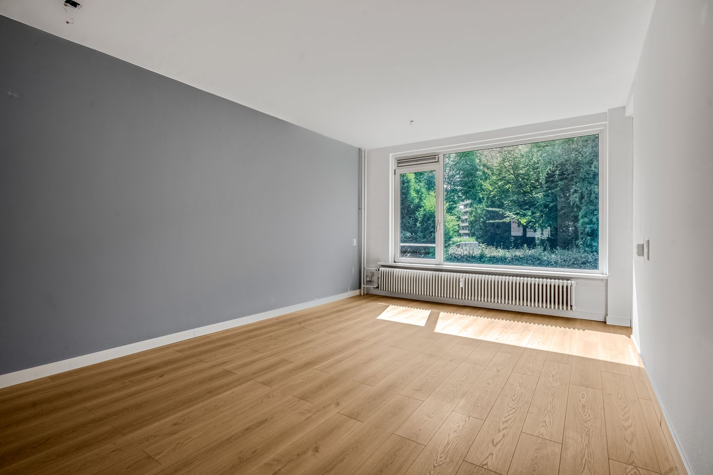 Photo 5 of Mennonietenweg 17