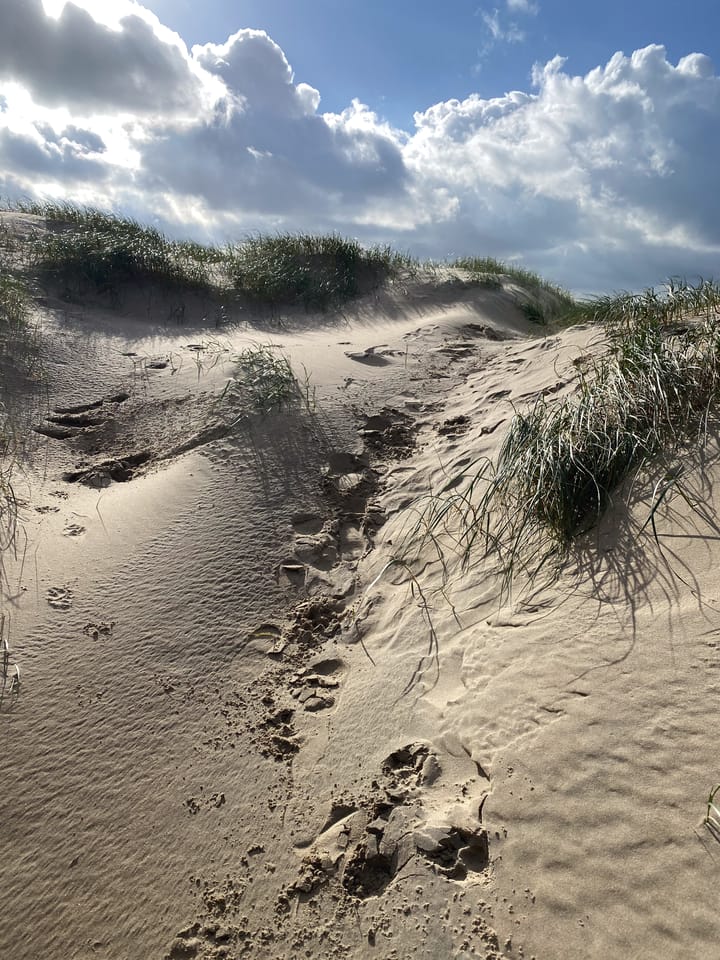 Foto 56 van Koningin Astrid Boulevard 26-F