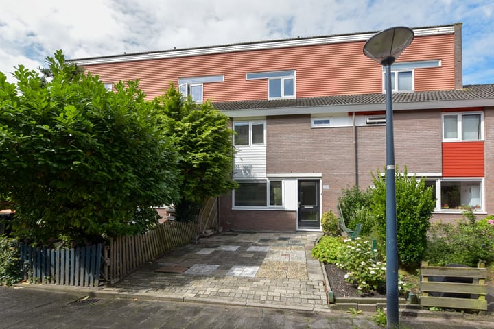 undefined main image