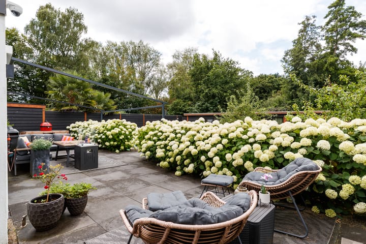 Foto 20 van Trekvalk 6