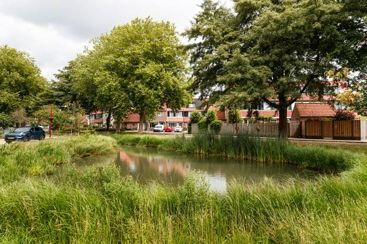 Foto 41 van Trekvalk 6