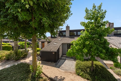 Numansgors thumbnail