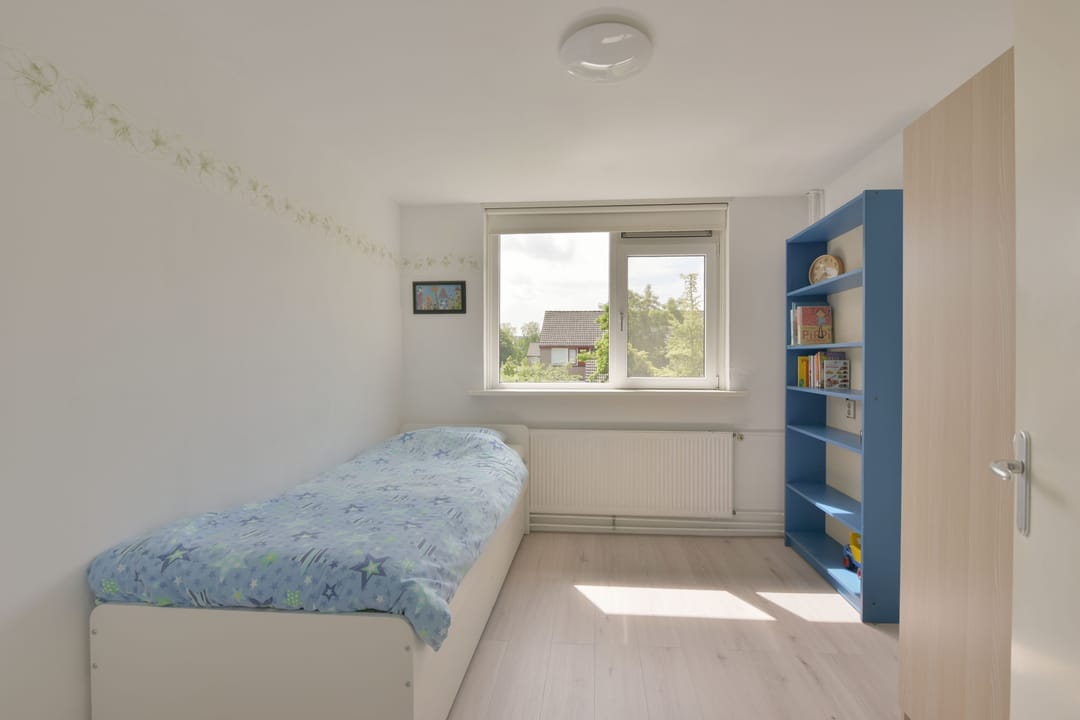 Photo 13 of Boeier 29