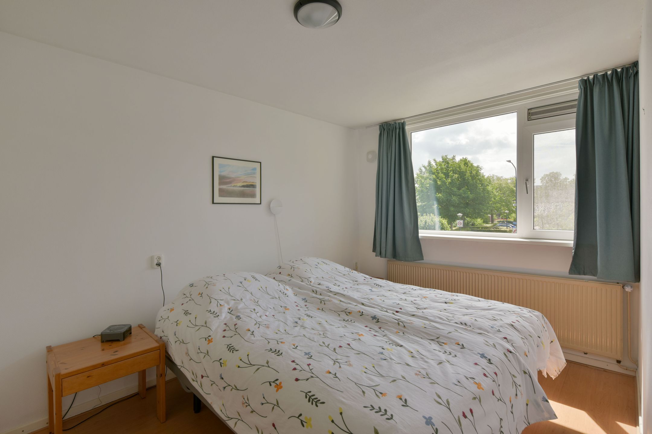 Photo 15 of Boeier 29