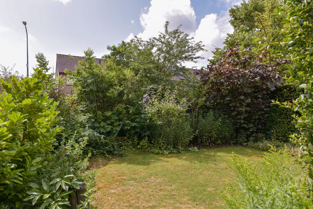 Photo 26 of Boeier 29