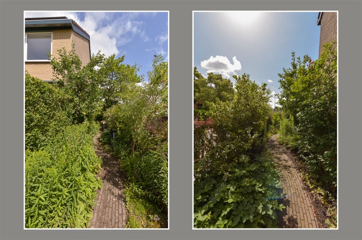 Foto 31 van Boeier 29