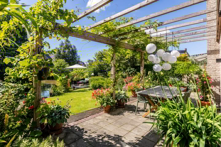 Foto 44 van Weidezoom 35