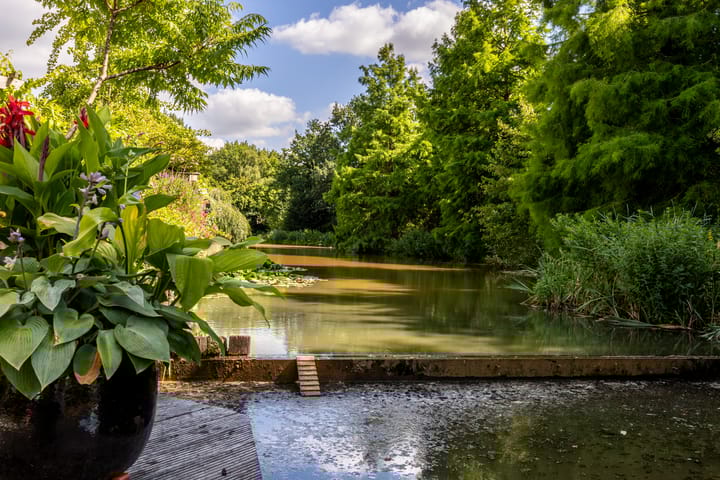 Foto 49 van Weidezoom 35