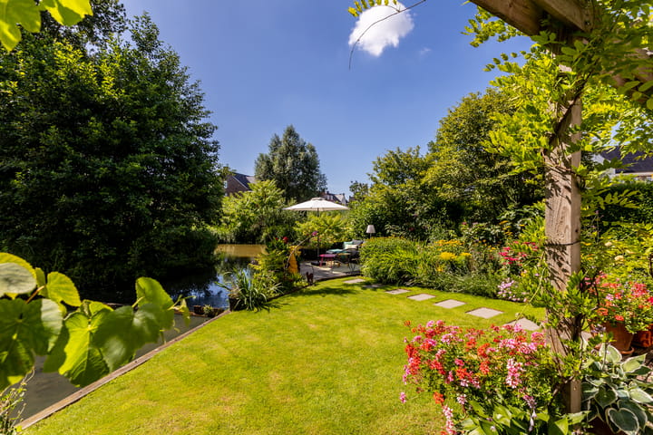 Foto 50 van Weidezoom 35