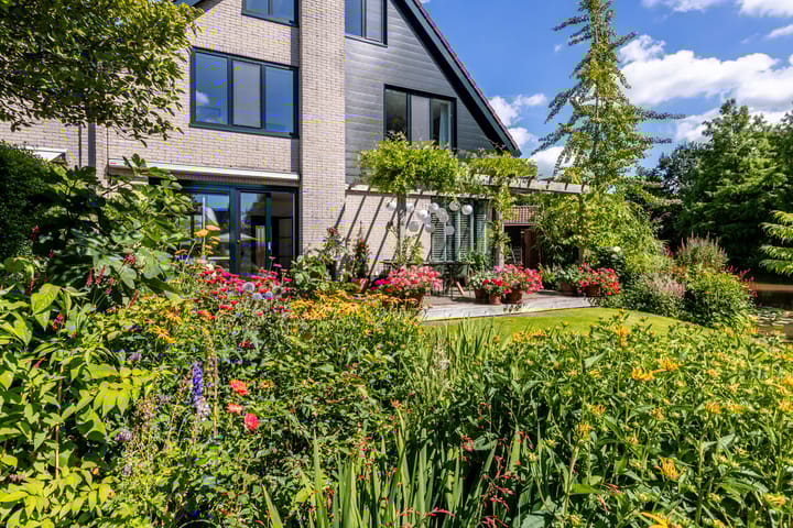 Foto 56 van Weidezoom 35