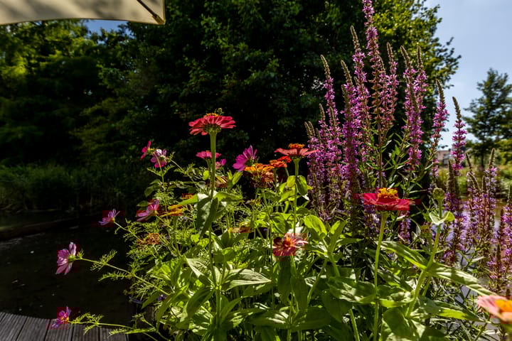 Foto 57 van Weidezoom 35