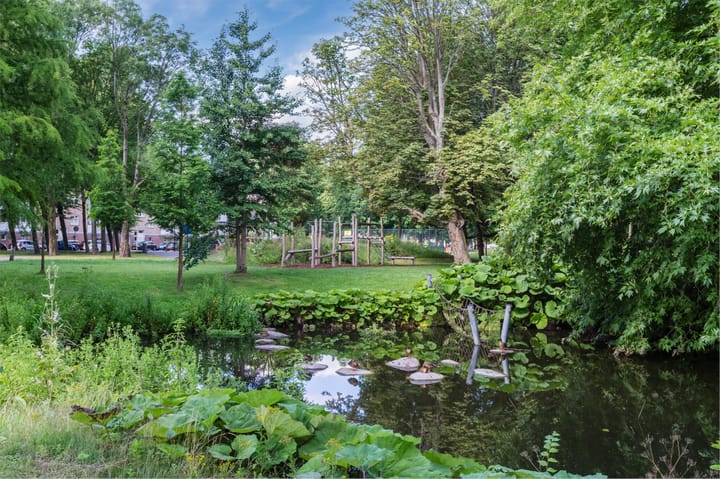 Photo 58 of Osdorper Ban 553