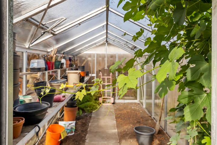 Foto 13 van Dorpsweg 117