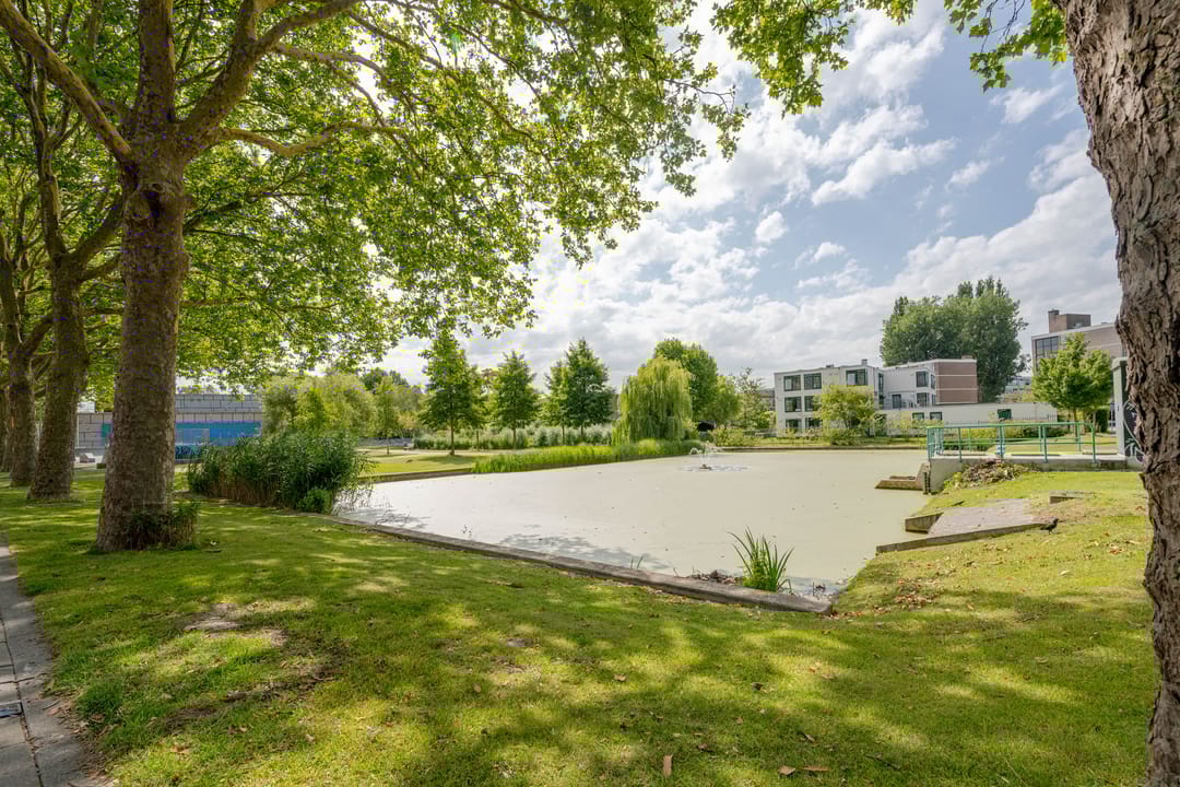 Foto 22 van Spinozaweg 345