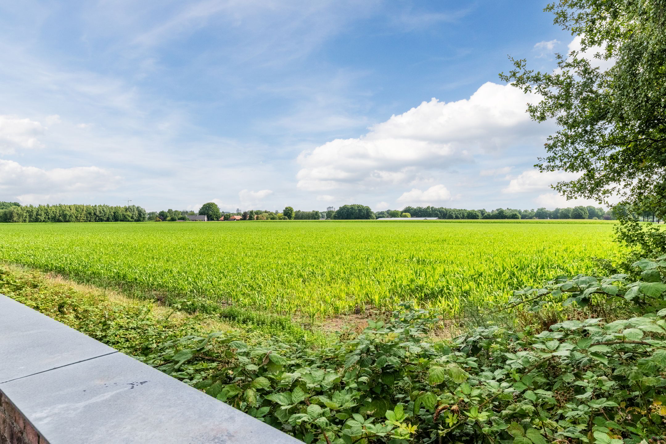 Foto 30 van Hendrik Tollensdreef 144