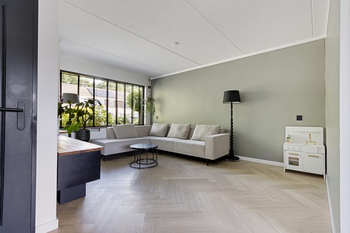 Foto 2 van Pealskar 40