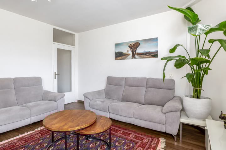 Foto 20 van Reidans 50