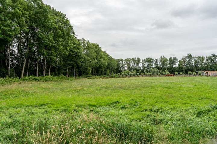 Foto 38 van Holte 30