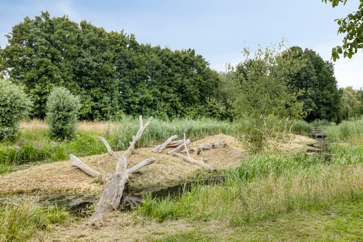 Foto 39 van Zwanenstraat 12