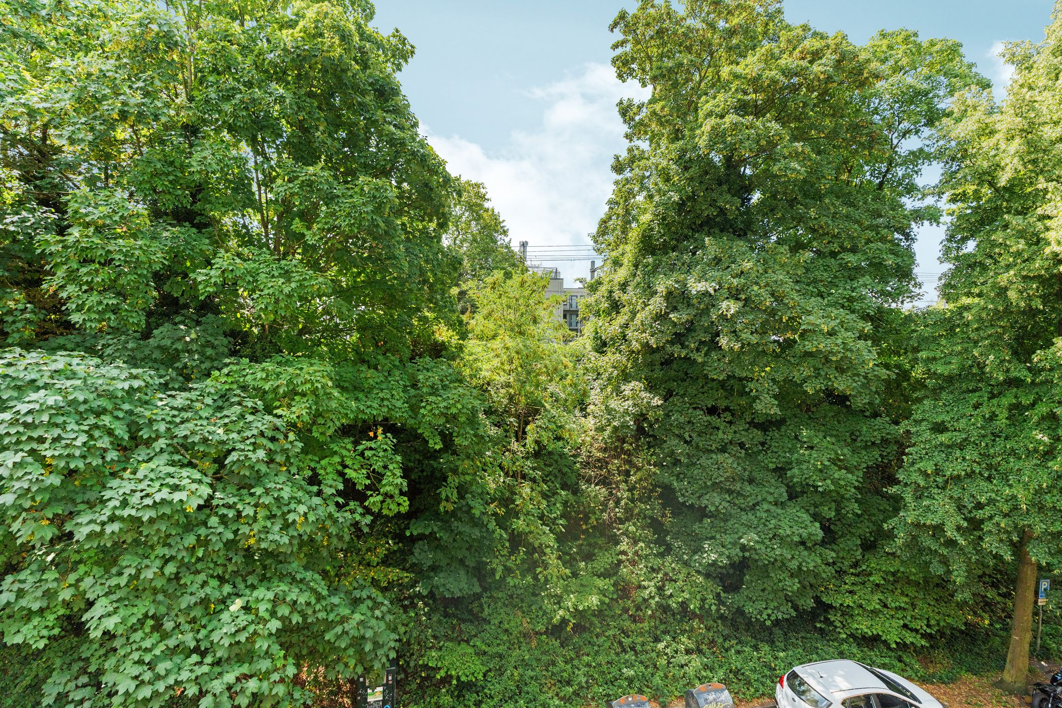 Foto 24 van Sonsbeeksingel 25-1