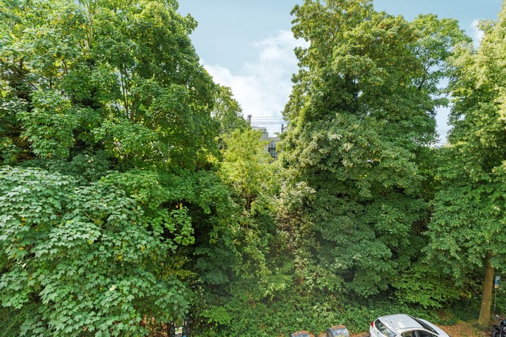 Foto 24 van Sonsbeeksingel 25-1