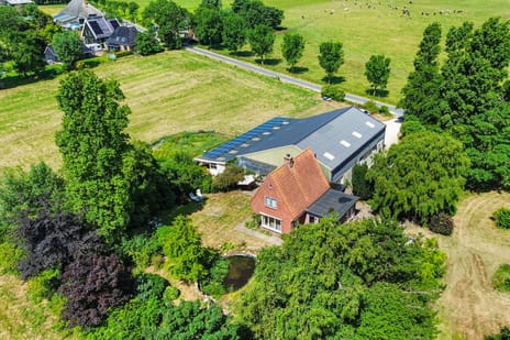 undefined main image