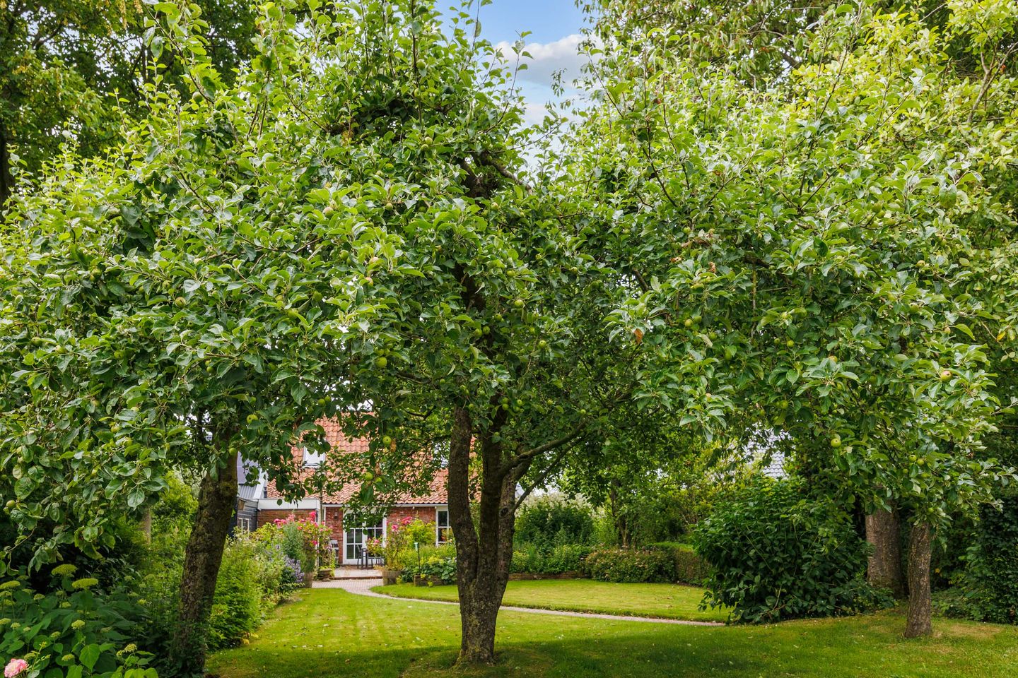 Photo 50 of Broeksterweg 6