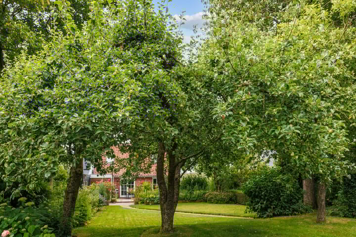 Foto 50 van Broeksterweg 6