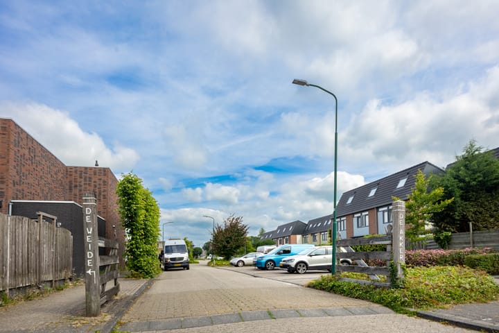 Foto 49 van de Weide 41