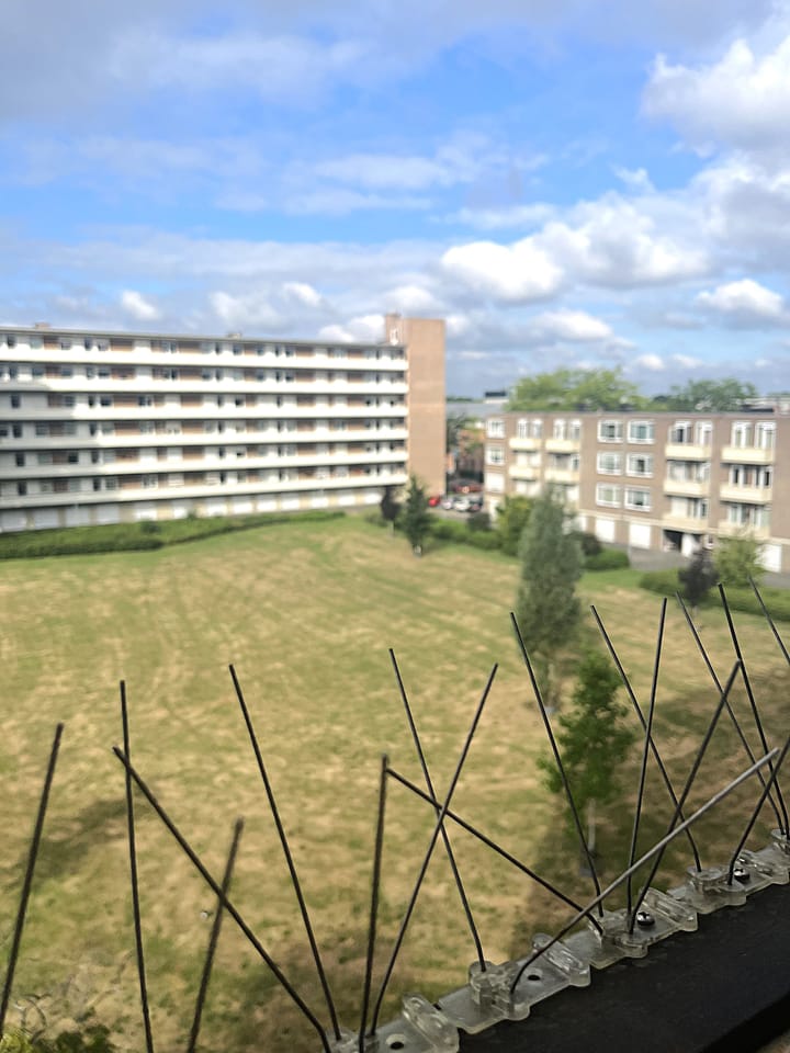 Photo 16 of Albert Cuypstraat 300