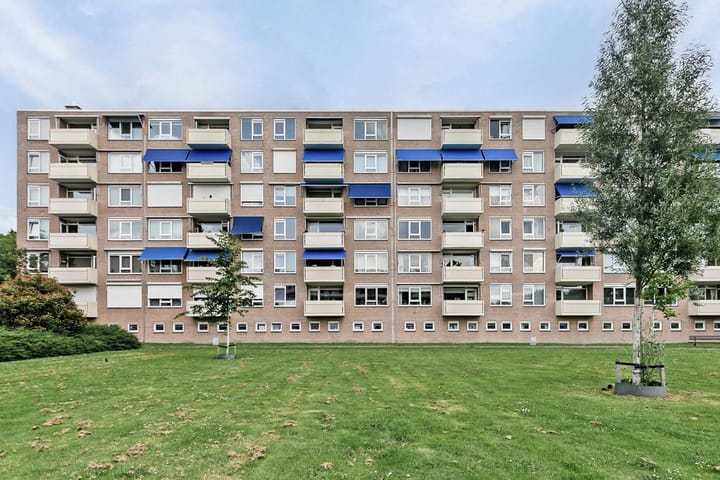 Photo 31 of Albert Cuypstraat 300