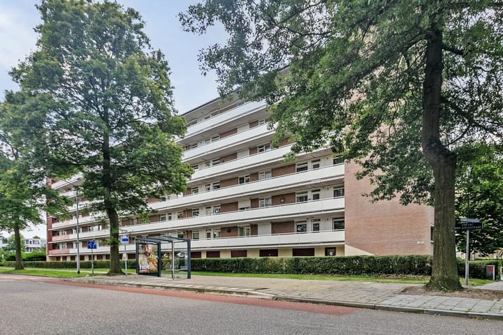 Photo 32 of Albert Cuypstraat 300