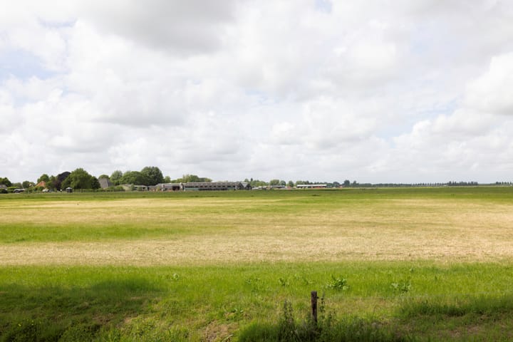 Photo 36 of Pieter Wariuslaan 78