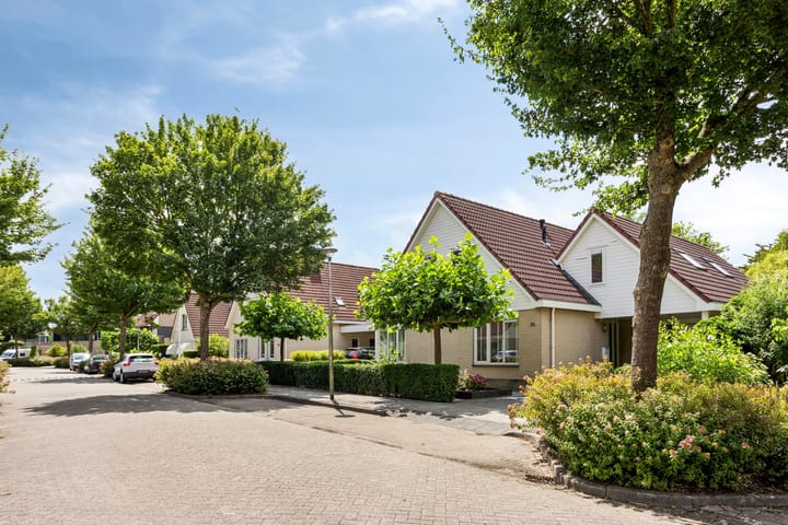 Foto 4 van Grote Beer 75