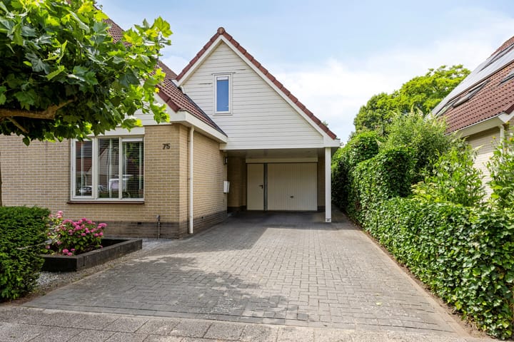 Foto 5 van Grote Beer 75