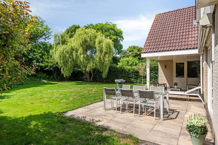 Foto 3 van Grote Beer 75