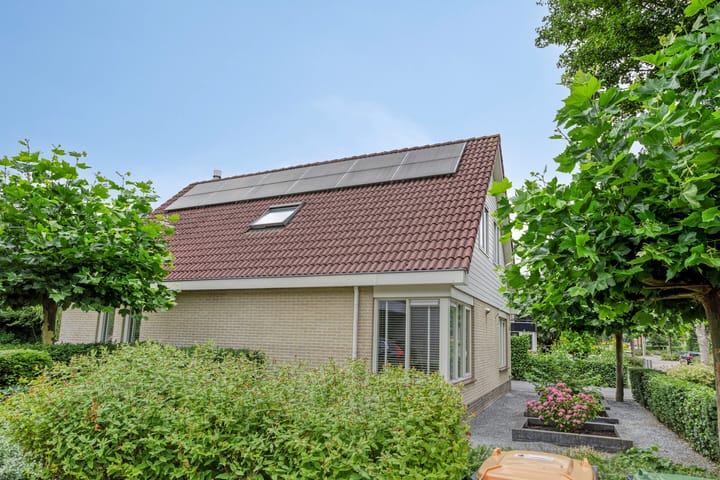 Foto 45 van Grote Beer 75