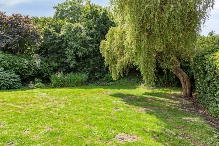 Foto 46 van Grote Beer 75