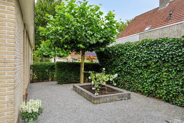 Foto 47 van Grote Beer 75