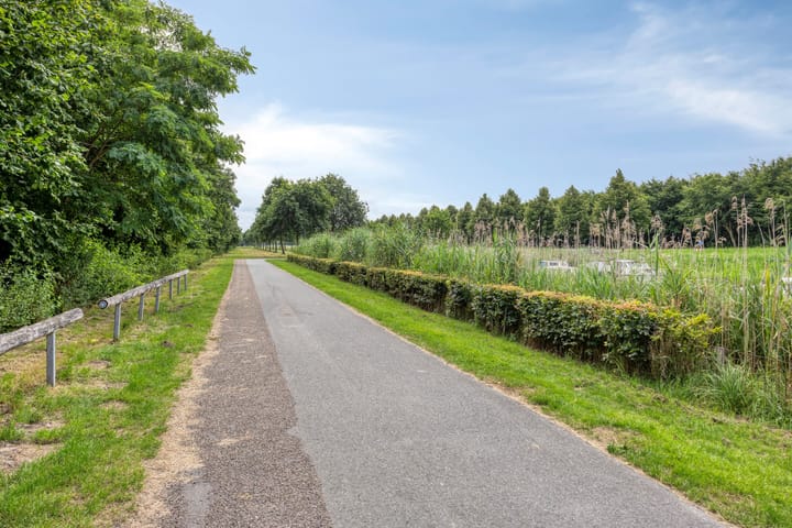 Foto 50 van Grote Beer 75