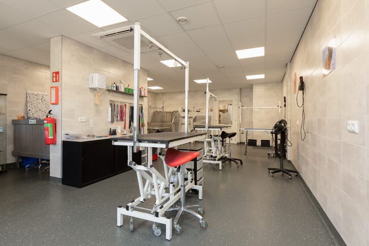 Foto 39 van Hoogend 28-A