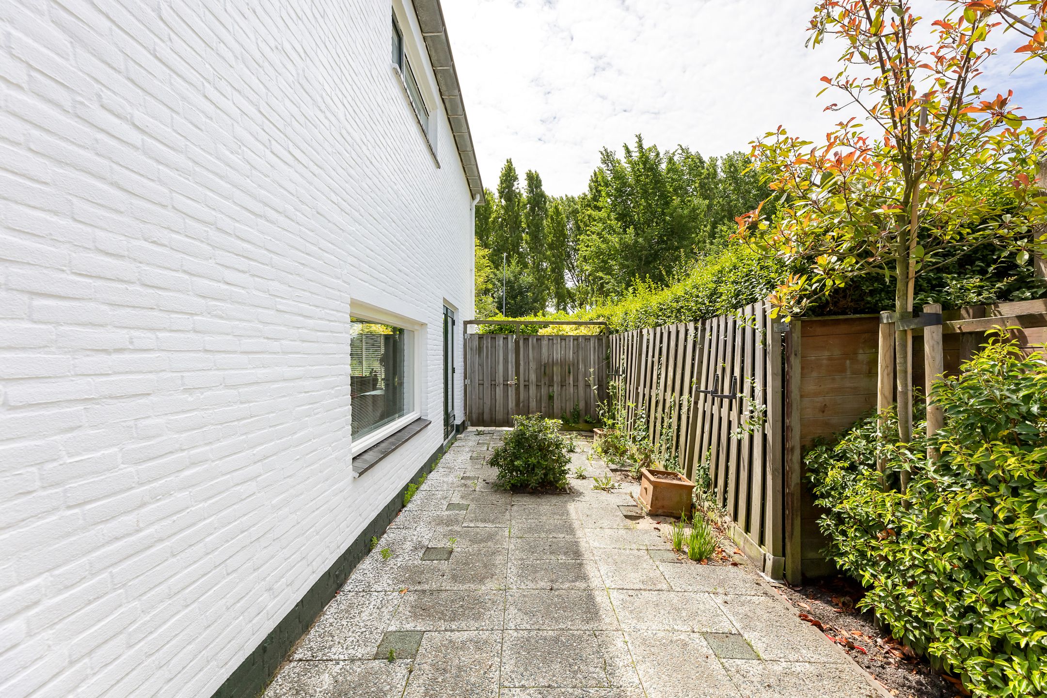 Foto 24 van Burgemeester van Woelderenlaan 58