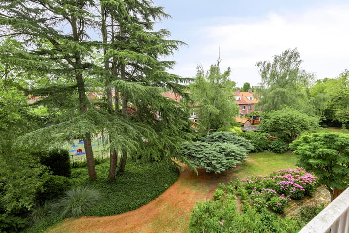 Foto 6 van Graaf Hendrik III laan 107-B