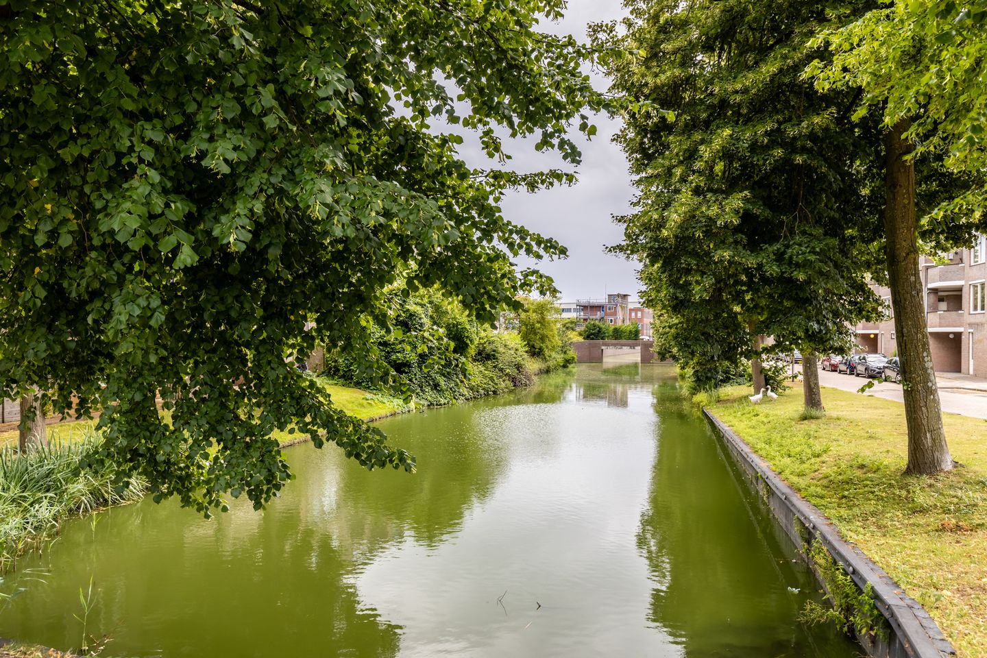 Foto 34 van Purmerweg 88