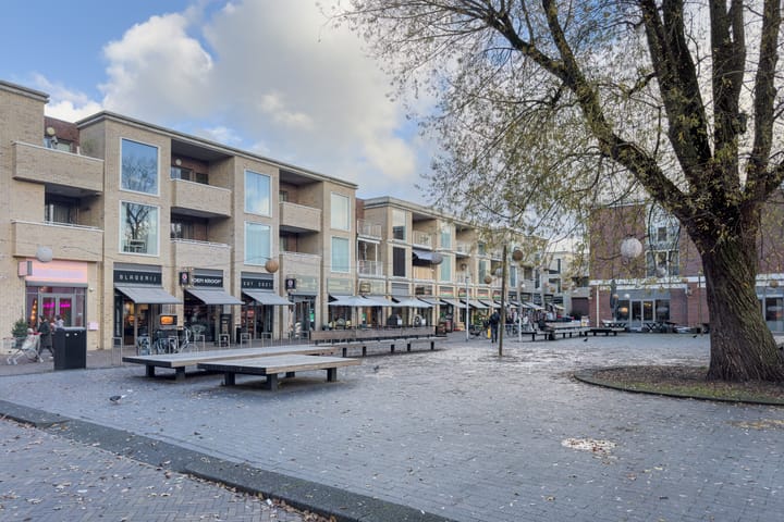 Foto 50 van Pablo Picassostraat 532