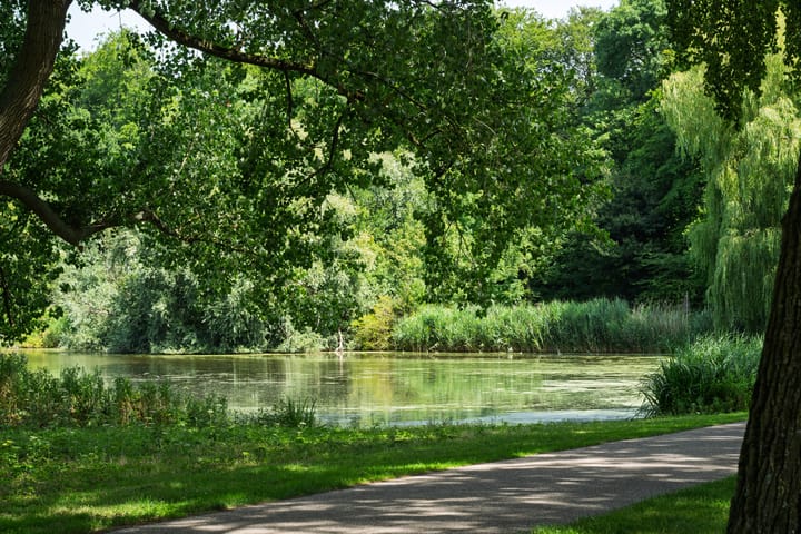 Foto 27 van Kralingseweg 3-A