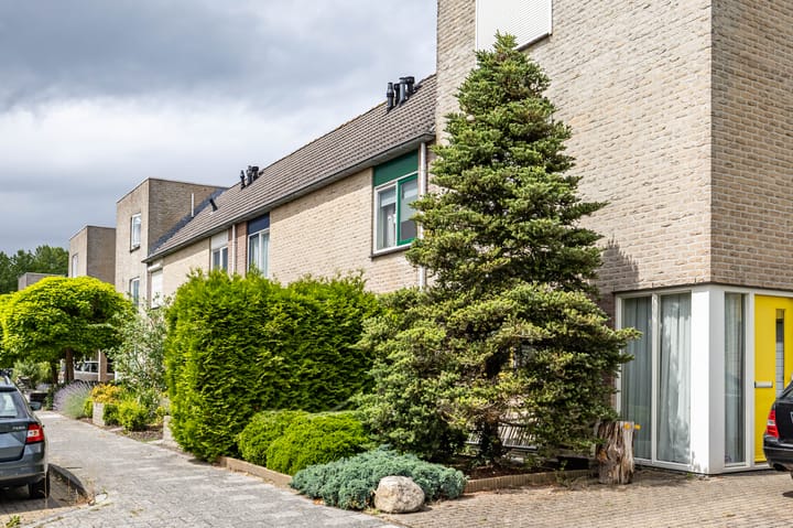 Foto 7 van Tarwehullen 23